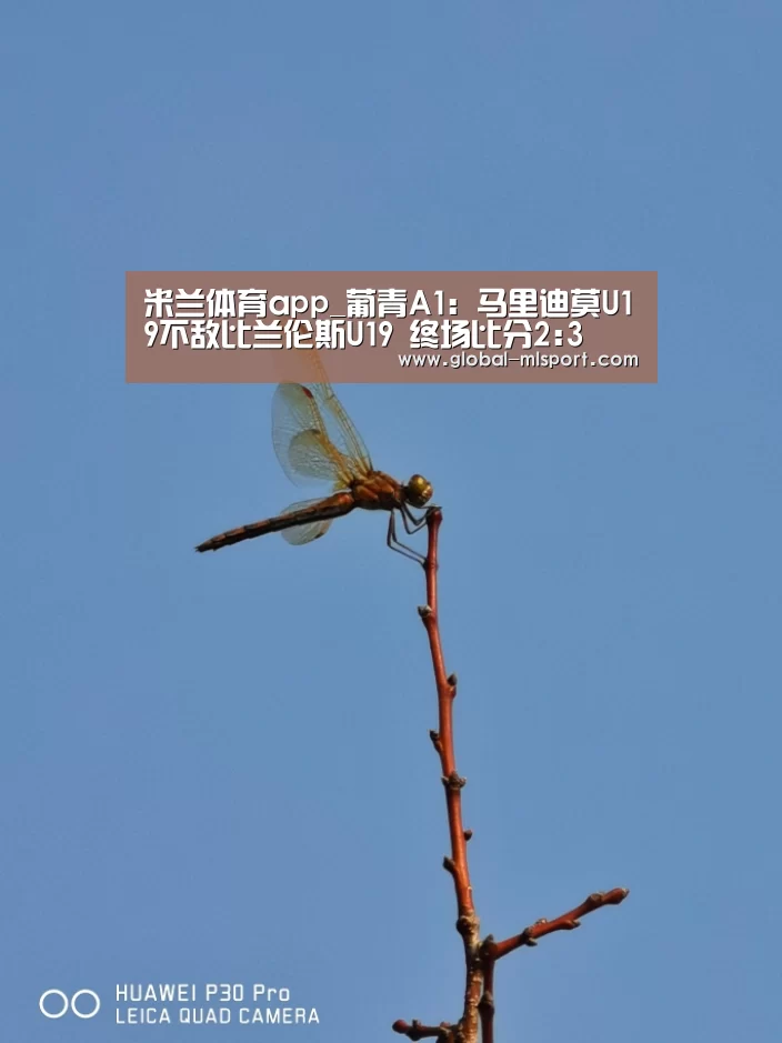 米兰体育app_葡青A1: 马里迪莫U19不敌比兰伦斯U19 终场比分2:3(图3) 米兰体育