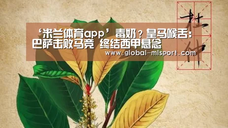 ‘米兰体育app’毒奶?皇马喉舌:巴萨击败马竞 终结西甲悬念(图1) 米兰体育