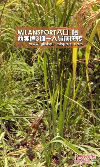 MILANSPORT入口_梅西独造3球一人导演逆转之战 一细节彰显风度(图2) 米兰体育官网