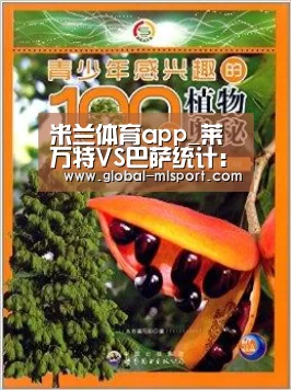 米兰体育app_莱万特VS巴萨统计:三核传球上百小白梅西抢眼(图2) 米兰体育
